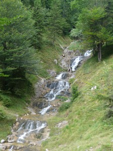 Benediktenwand, 7.9.2013 (14)